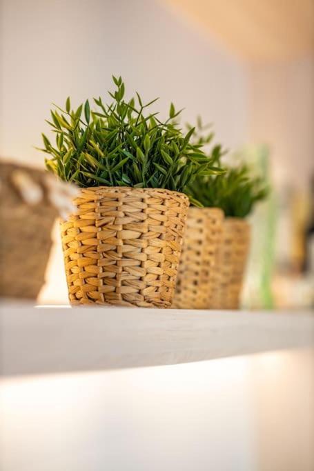 Sunny Terras, Cozy In The Dunes กัดซันด์ ภายนอก รูปภาพ